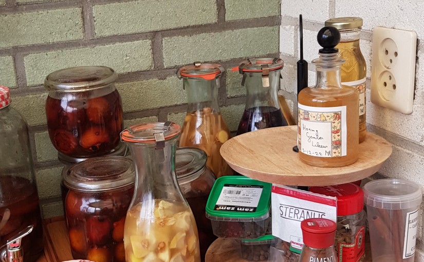 Thijm Gember Honing likeur maken…DIY